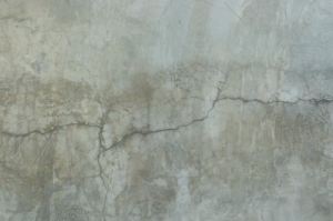 【池尻大橋校】【TOKYO TRIBE×HOPE】近未来シブヤの熱狂を体現する「アンセム」の正体とは