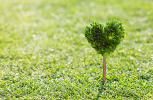 ジャズの定番コード進行「ツーファイブワン」徹底解説！その機能と実践的アレンジ応用例