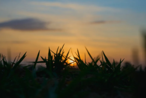 なぜ反転学習は作曲スキル習得に向いている？3つの科学的根拠と学習効果