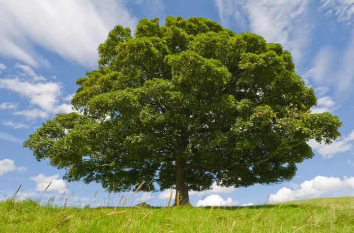 音楽スクールの作曲課題ってどんなもの？理論定着から実践力養成までの具体例と狙い